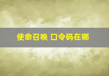 使命召唤 口令码在哪